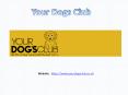 Dog Beds | Cushioned Dog Beds | Plastic Dog Beds PowerPoint PPT Presentation