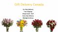 Send Online Flower N Teddy  to your Loved One to Canada | Gift Delivery Canada PowerPoint PPT Presentation