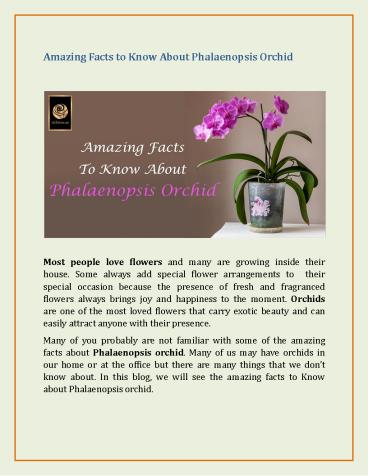 Amazing Facts to Know About Phalaenopsis Orchid