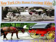 centralparkcarriages (2)