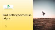 Bird Netting Services in Jaipur