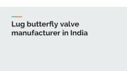 Lug butterfly valve manufacturer in India