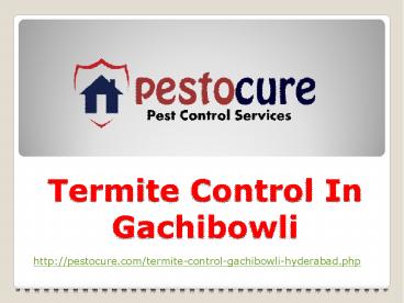 Termite Control Services in Gachibowli Hyderabad