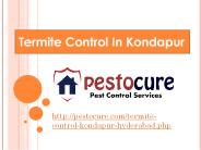 Termite Control In Kondapur | Pest Control Services Kondapur