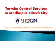 Termite Control Services in Madhapur, HiTech City