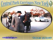 centralparkcarriages (3)
