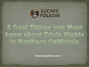 5 Cool things you must know about Trivia Nights in Northern California