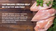 Organic chicken in Surrey (14)