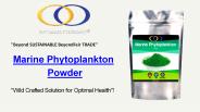 Marine Phytoplankton Powder