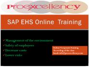 Proexcellency   provides  SAP EHS   online  training.