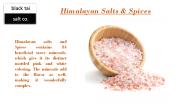 Himalayan Salt Bricks and Plates (1)