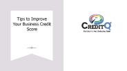 creditreportindia
