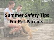 Summer Safety Tips For Pet Parents