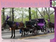 centralparkcarriages (4)
