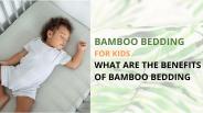 Benefits Of Bamboo Bedding