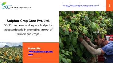 Sulphur Crop Care Pvt. Ltd.