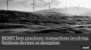 Fictitious Devices or Deception : Transactions : REMIT