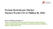 Protein Hydrolysate Market