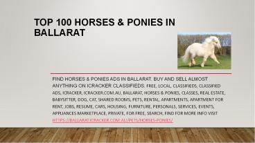 Top 100 Horses & Ponies in Ballarat