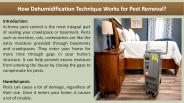 How Dehumidification Technique Works for Pest Removal?