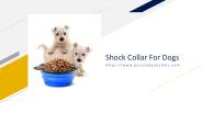 nail clippers Collar For Dogs