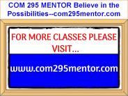 COM 295 MENTOR Believe in the Possibilities--com295mentor.com