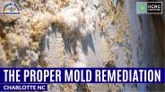 The Proper Mold Remediation Charlotte NC