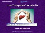 Liver Transplant Cost in India