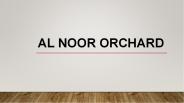 Al Noor Orchard