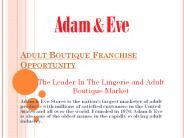 Start Adult Boutique Business