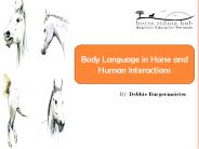 The Communication Factor between Horse and Man