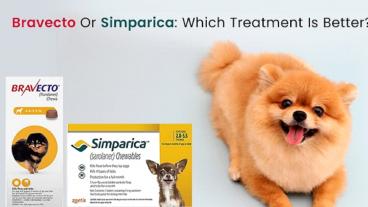 Bravecto Or Simparica: Which Treatment Is Better?