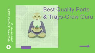 Get Best Variety of Pots & Trays - Grow Guru