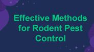 Effective Rodent Control Methods