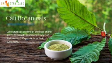 Red Vein Borneo Kratom