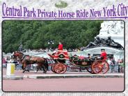 centralparkcarriages (5)