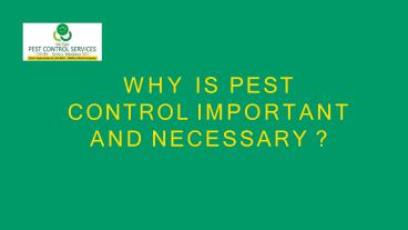 Why is Pest Control Important and Necessary?