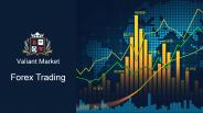 Valiant Markets - Foreign 2021