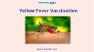 Yellow Fever Vaccination (1)