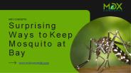 Surprising Ways to Keep Mosquito at Bay
