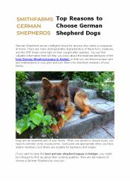 Top Reasons to Choose German Shepherd Dogs