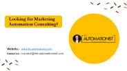 Marketing Automation Consultant - The Automationist