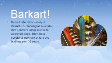 Buy Feathers From A Licensed Seller Always!