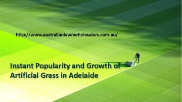 Instant Popularity and Growth of Artificial Grass in Adelaide