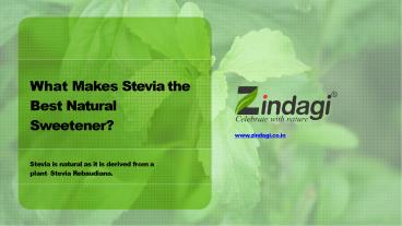 Zindagi - Stevia the Best Natural Sweetener