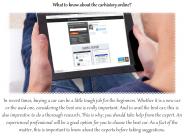 What to know about the carhistory.online?
