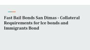 Fast Bail Bonds - Collateral Requirements for Ice bonds and Immigrants Bond