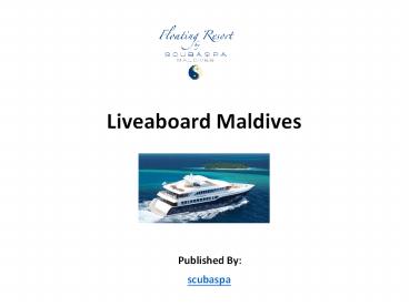 Liveaboard Maldives