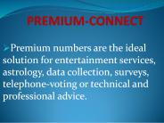 Mega Payouts For All Terminations/Premium Rate Numbers