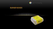 Customized Wholesale Burger Boxes with Free Shipping